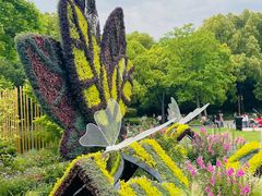 -上海共青森林公园