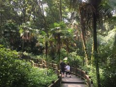 -凤栖山