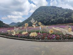 -广州市石门国家森林公园