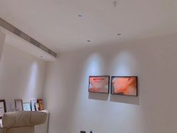 -紫御国际抗衰ZOE ANTI AGING
