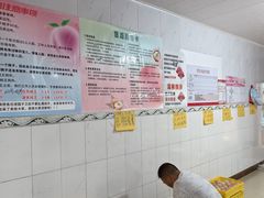 -老袁家蜜桃农场·阳山水蜜桃