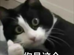 -汕尾巴黎半岛酒店