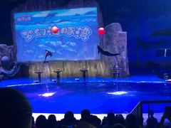 -华夏文旅海洋公园