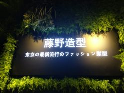点击看大图 -藤野造型