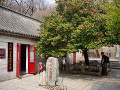 -青岛崂山太清宫