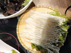 -彤德莱(奥林店)