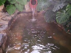 -中家鑫园温泉酒店鑫悦汤泉