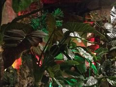 -泉城欧乐堡戏水湾艺术养生温泉