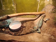 -上海大自然野生昆虫馆(东方明珠·爬宠昆虫探索中心)