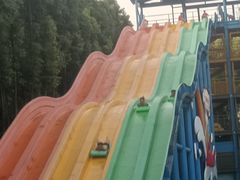 -重庆海昌加勒比海水世界