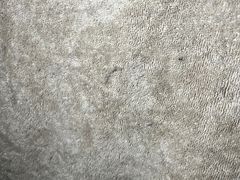 -ZARA HOME(长楹天街购物中心店)