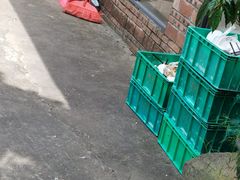-罗浮山·罗园农庄