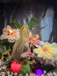 -酷嗒动物文化乐园(cutezoo西溪乐天城店)