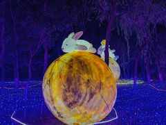 -青龙湖公园