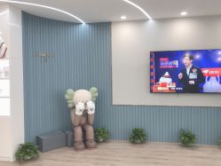 点击看大图 -久匠·野生眉半永久纹绣