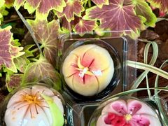 -稻香村(观前街店)