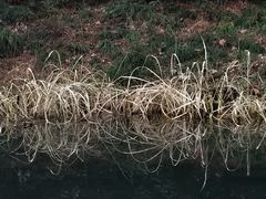 -西湖游船
