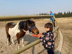 -汉长安城未央宫国家考古遗址公园