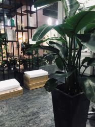 -发饰美男士增发补发假发定制店