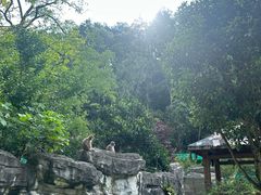 -黔灵山公园