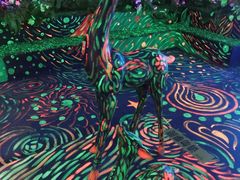 -梦幻巴比松星空体验馆