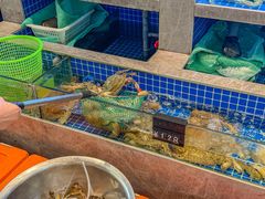 -浙C老邻舍(西城海错店)