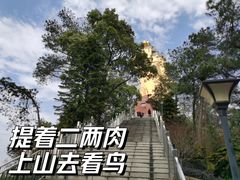 -大金鹰园
