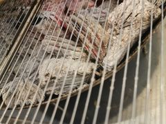 -肉甲韩国木炭烤肉(新壹街1店)