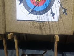 -蓝天射箭馆·专业射箭运动(诚丰广场店)