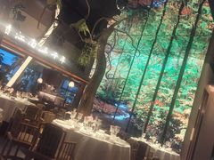 -桂满陇·海市蜃楼·黑金(国金店)