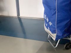 -望京西(地铁站)