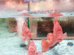 -阿伟海鲜楼·福建菜(延寿店)