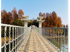 -东湖落雁景区