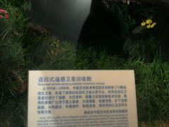 景点-内蒙古博物院