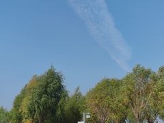 -呼兰河口湿地公园