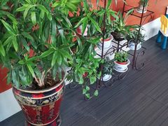 -小六汤包砂煲菜(文景路店)