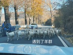 -百里山水画廊