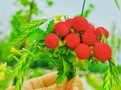 -沣东·沣河生态景区