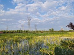 -永定河休闲森林公园