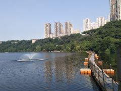 -重庆彩云湖湿地公园
