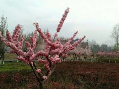 -西安汉城湖景区