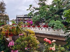 -南诏风情岛