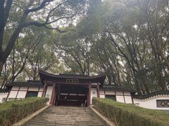 -上海佘山国家森林公园天马山园