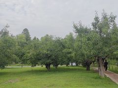 -祥源·阜阳生态乐园