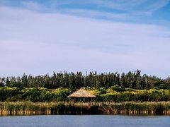 -西青郊野公园