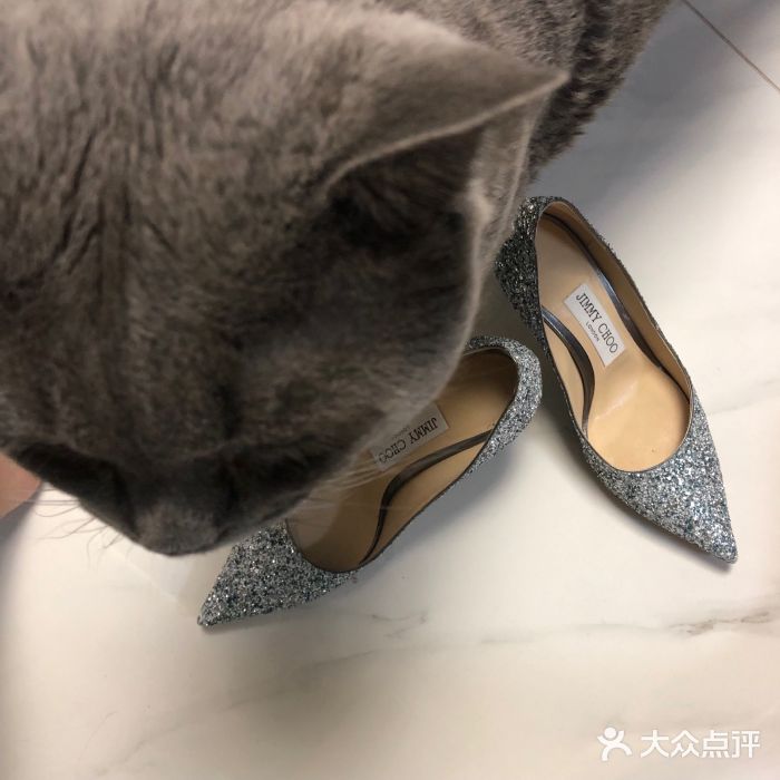jimmy choo 吉米周(国贸商城店)图片