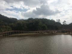 -神光山国家森林公园