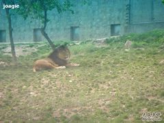 -西安秦岭野生动物园