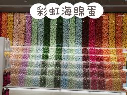 -THE COLORIST调色师
