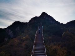 -大岭沟猕猴桃谷风景区